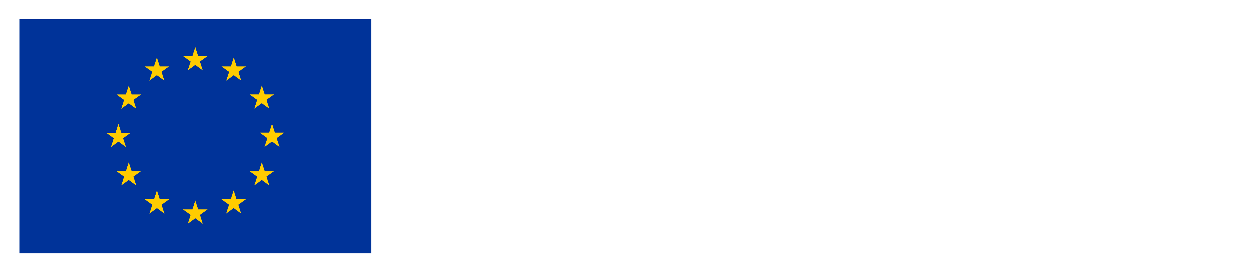 Co-funded by the European Union